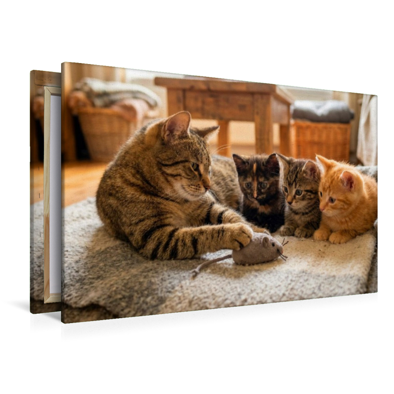 Mauserklärung - Katzenmutter und Kätzchen