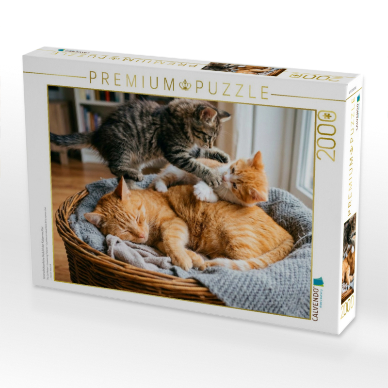 Unerschütterliche Geduld der Katzenmutter