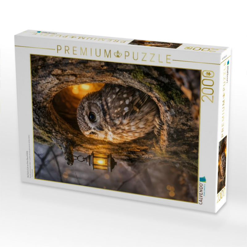 Die kleine Eule an ihrer Baumhöhle