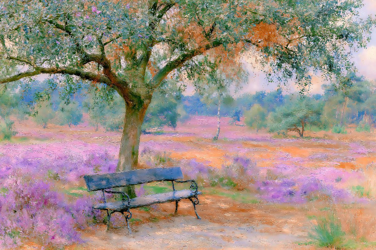 Ruhebank in der Heide