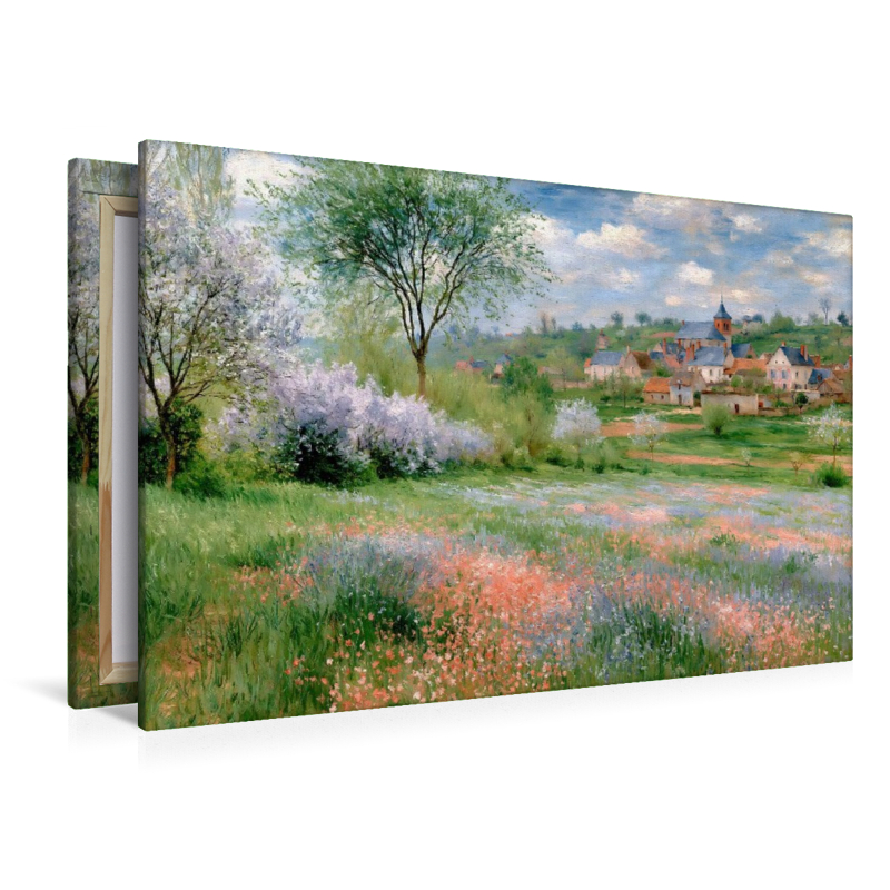 Bunte Wiesen mit Blick zum Dorf