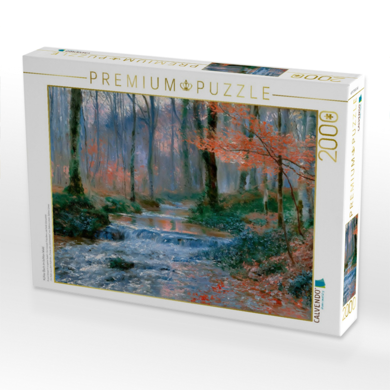Kühler Bach im lichten Wald