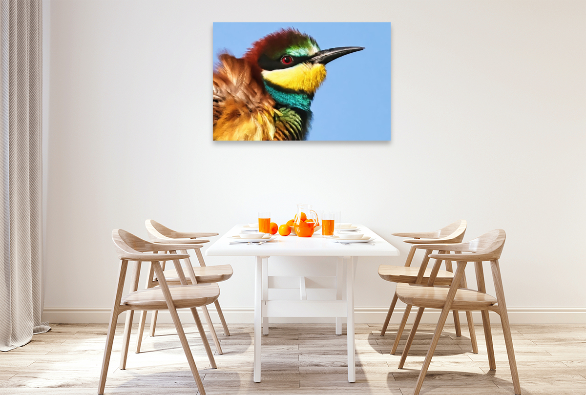 Bienenfresser-Portrait