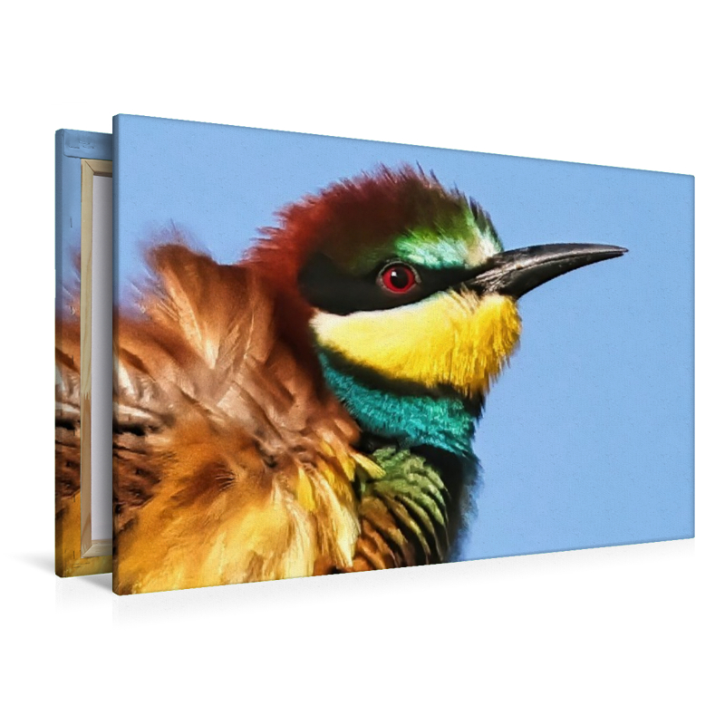 Bienenfresser-Portrait