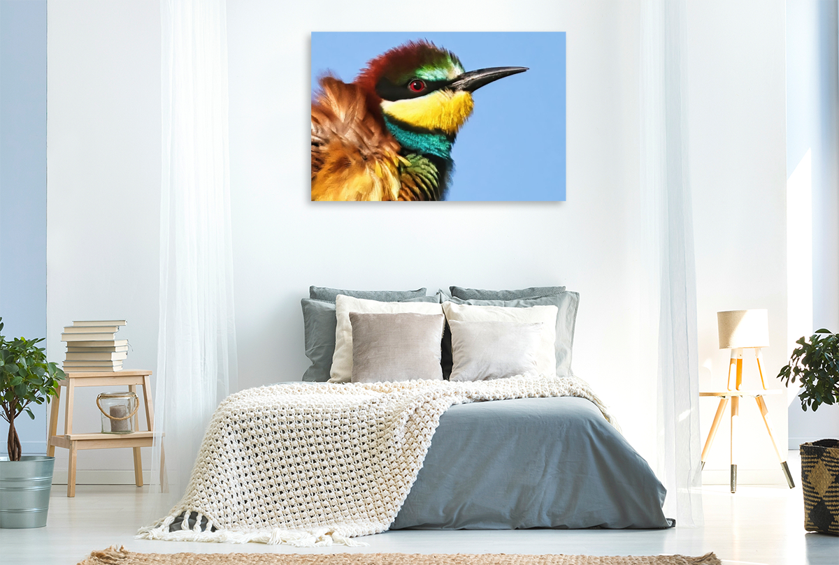 Bienenfresser-Portrait