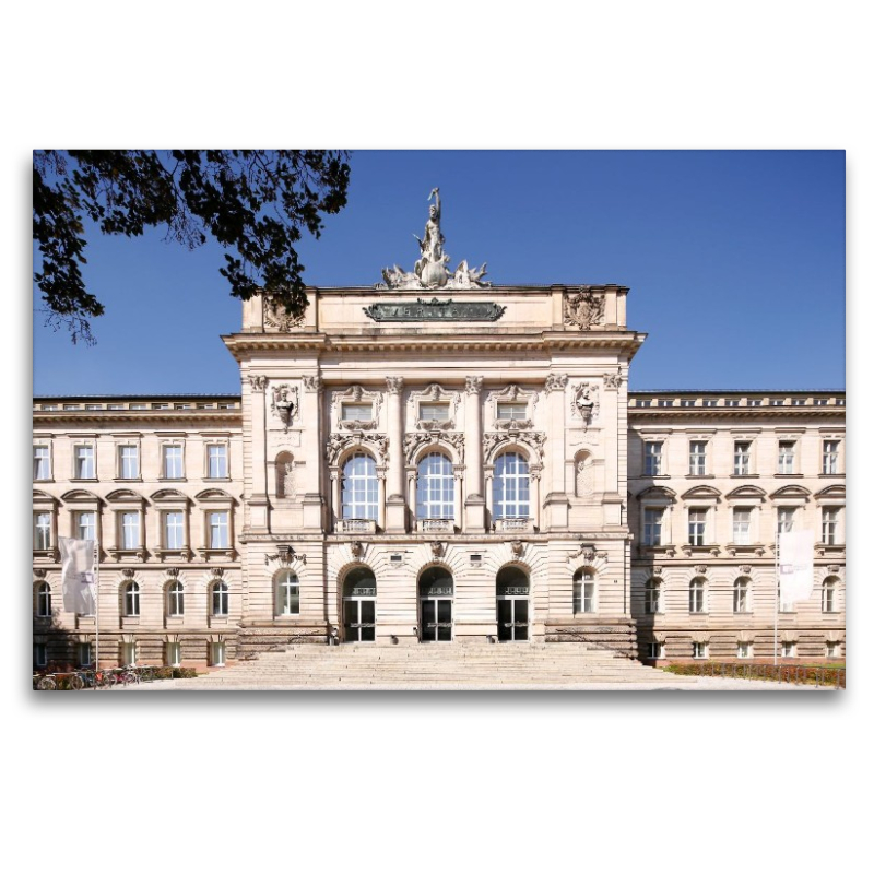 Neue Universität Veritati