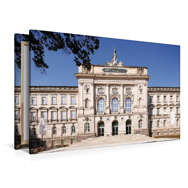 Neue Universität Veritati