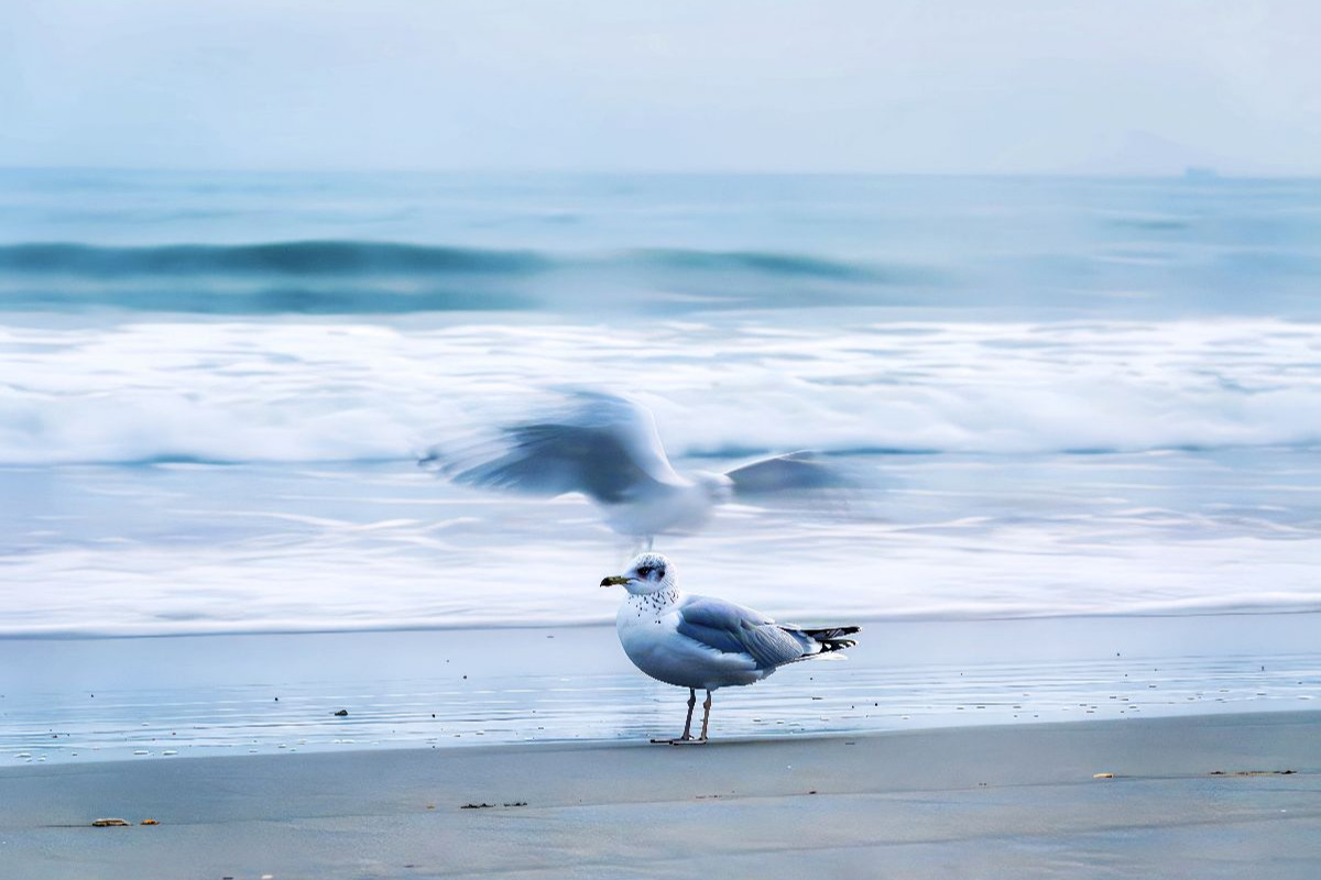 Ein Motiv aus dem Kalender Minimal-Art - am Strand