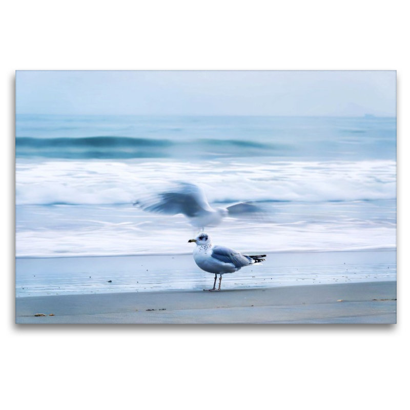 Ein Motiv aus dem Kalender Minimal-Art - am Strand