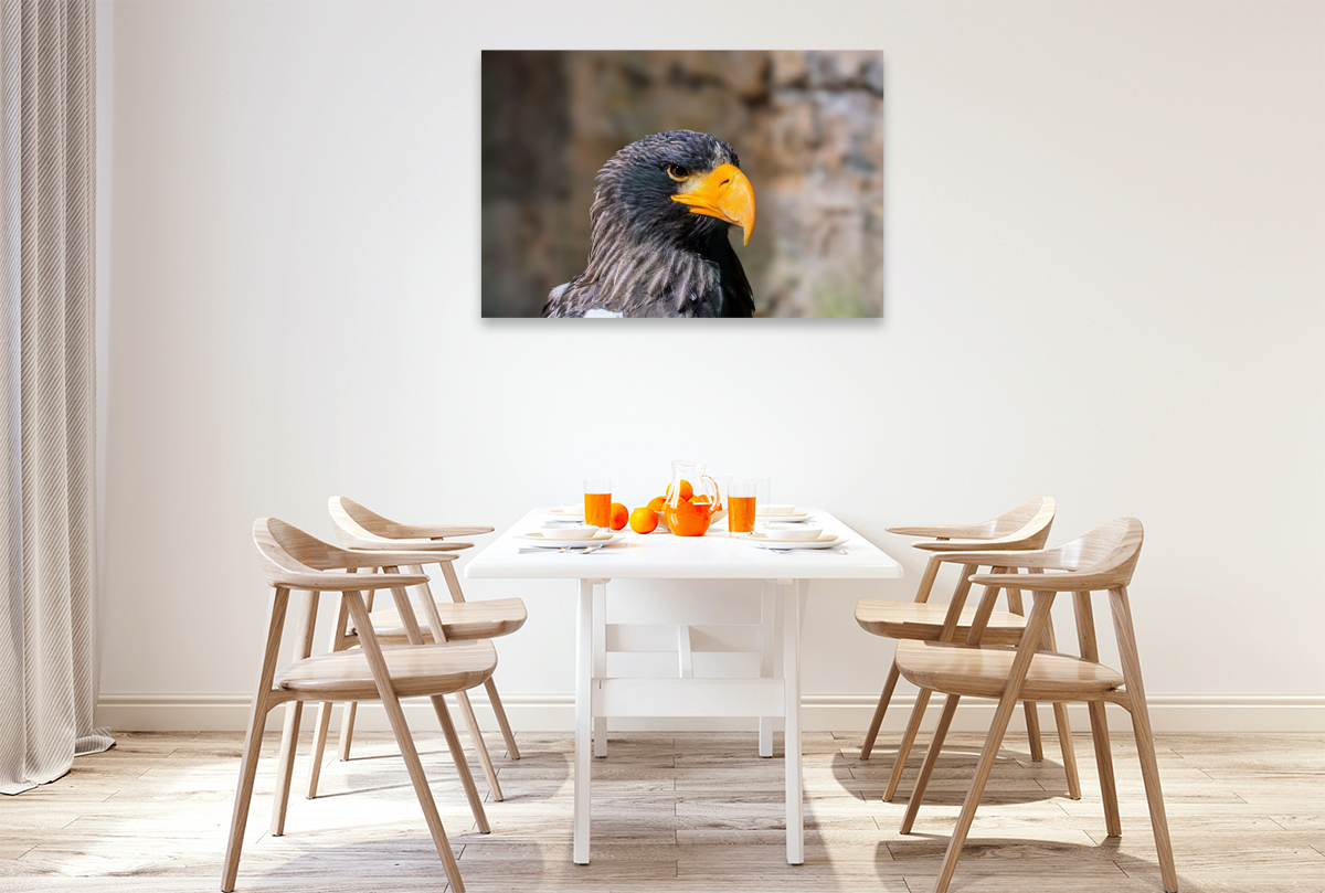 Riesenseeadler. Seitenprofil.
