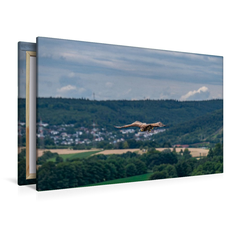 Patrouillenflug über der herbstlichen Tallandschaft