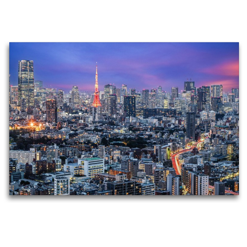 Tokyo Skyline
