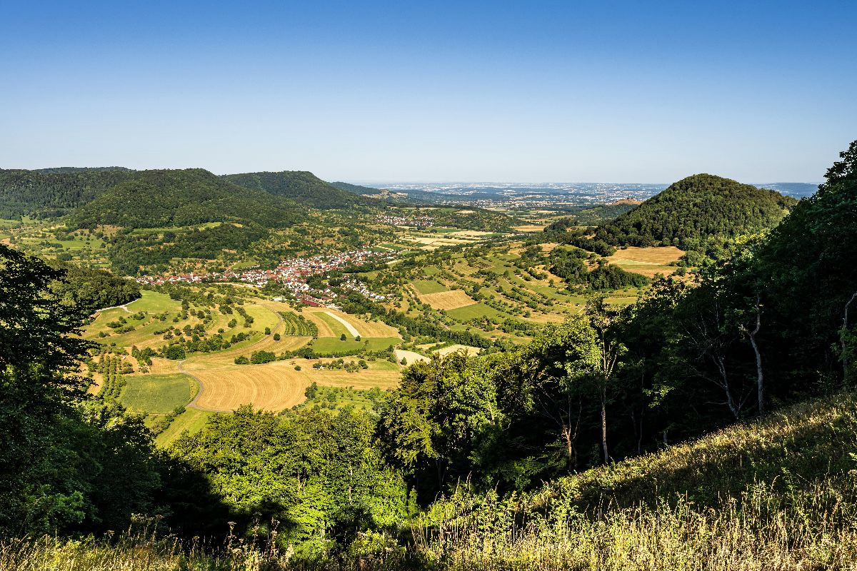 Blick auf Neidlingen