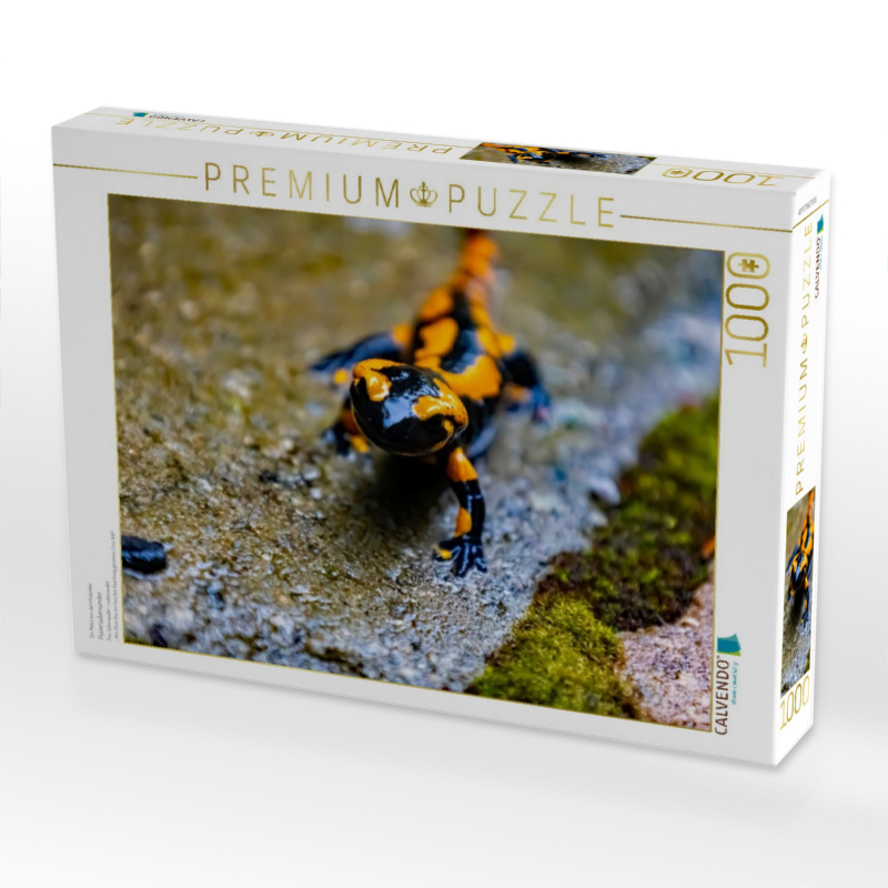 Feuersalamander