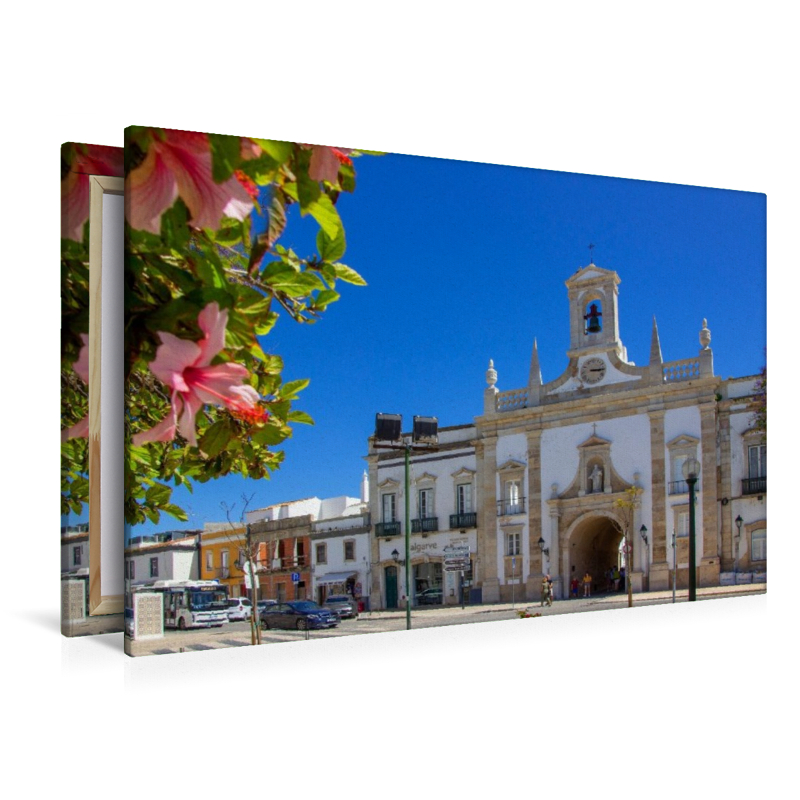 Hibiskusblüten am neoklassizistischen Stadttor