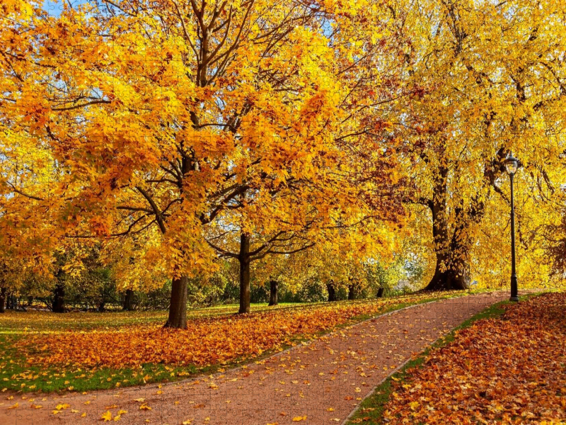 Der Schlosspark im Herbst, Oslo