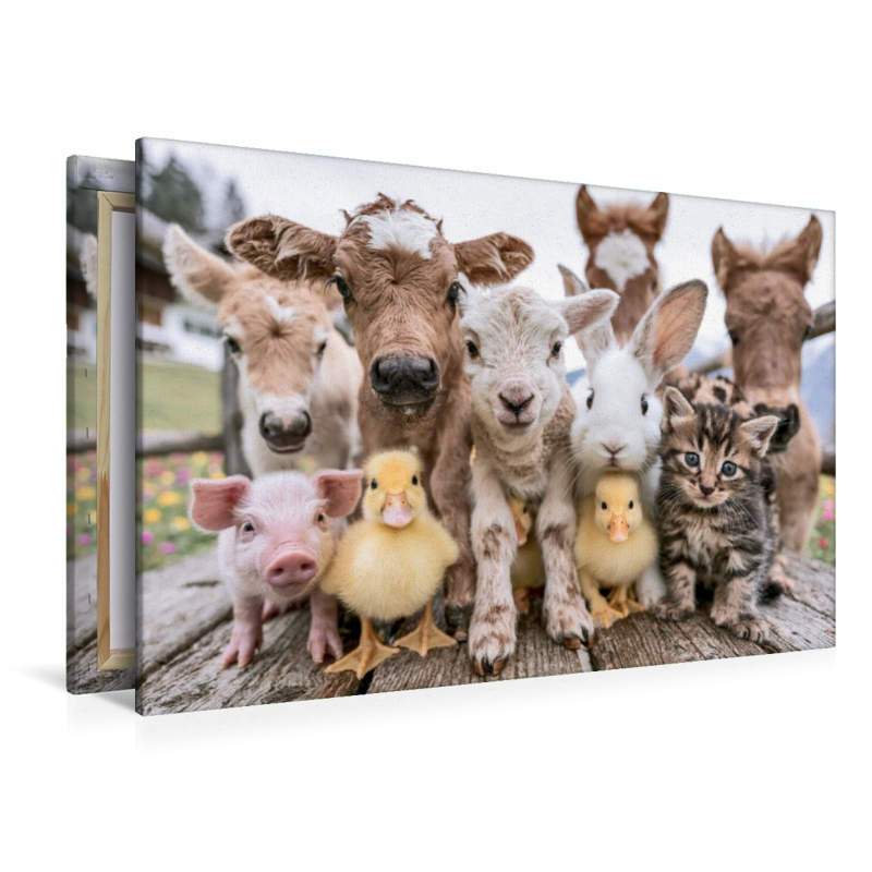 Ein Motiv aus dem Kalender Bauernhofzauber