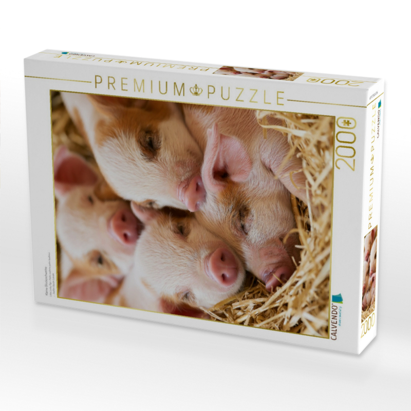 Kleine Glücksschweine
