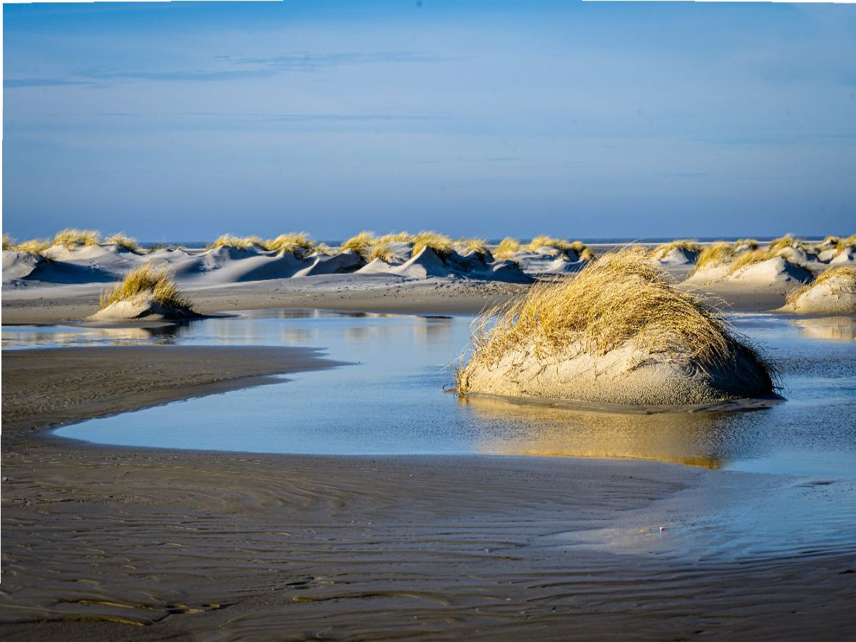 Dünenlandschaft