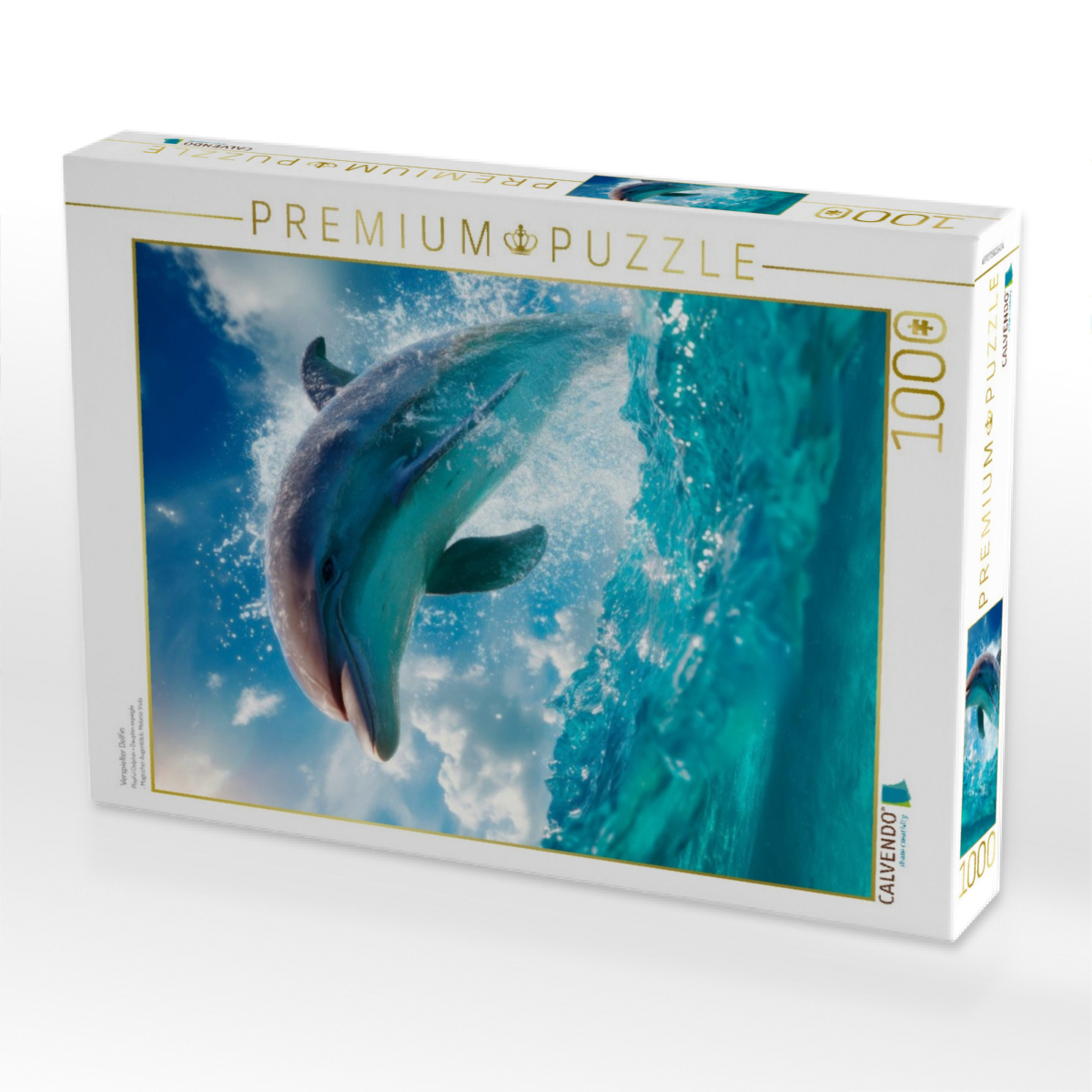 Verspielter Delfin