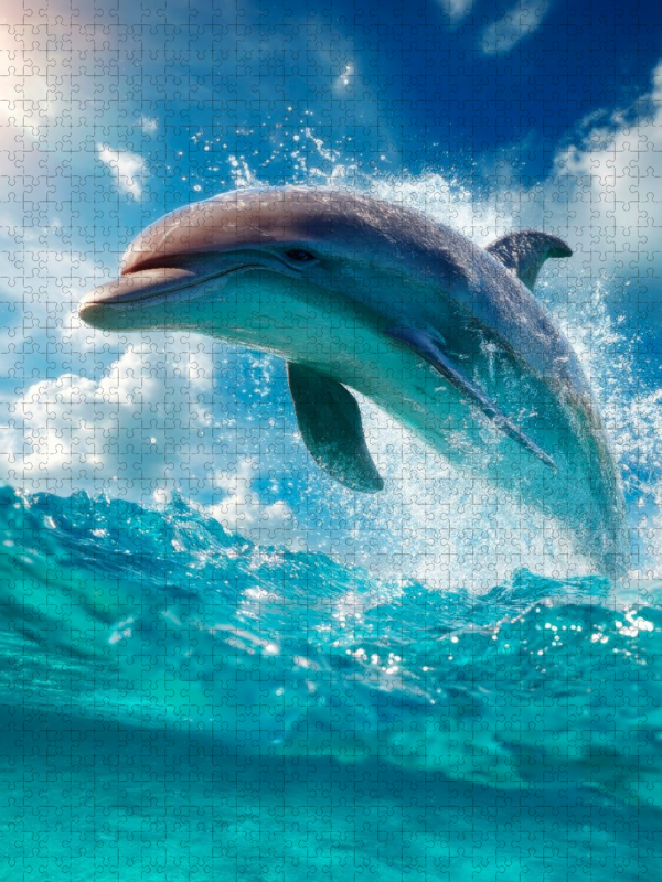 Verspielter Delfin