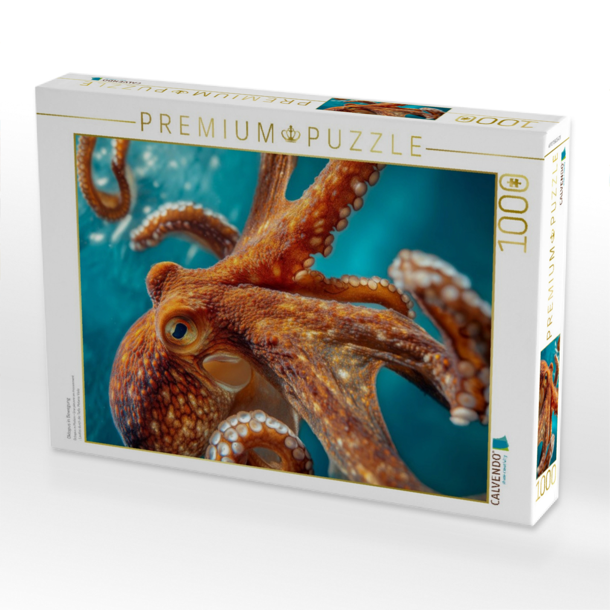 Oktopus in Bewegung