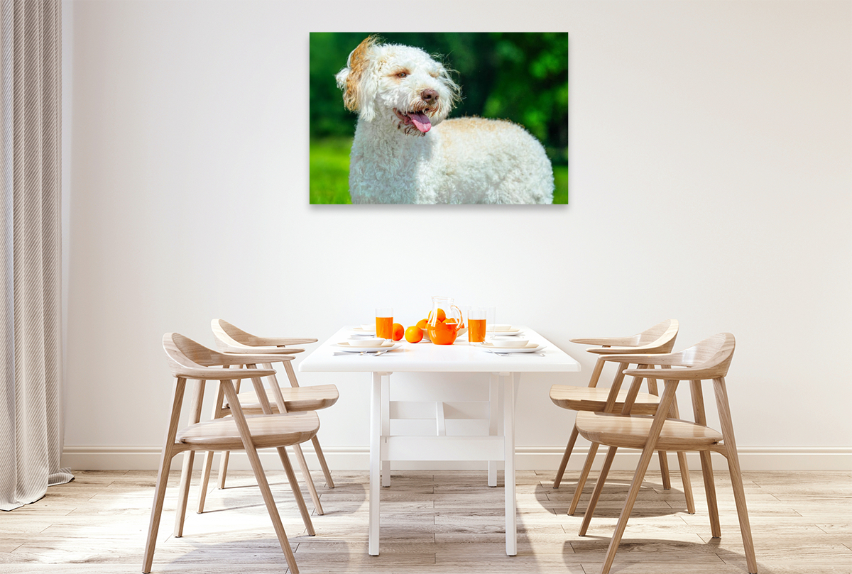 Ein Motiv aus dem Kalender Lagotto Romagnolo - die Trüffelsucher Italiens