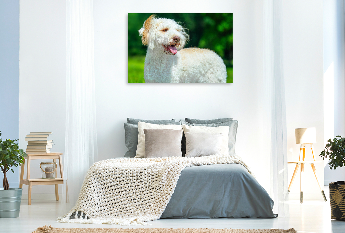 Ein Motiv aus dem Kalender Lagotto Romagnolo - die Trüffelsucher Italiens