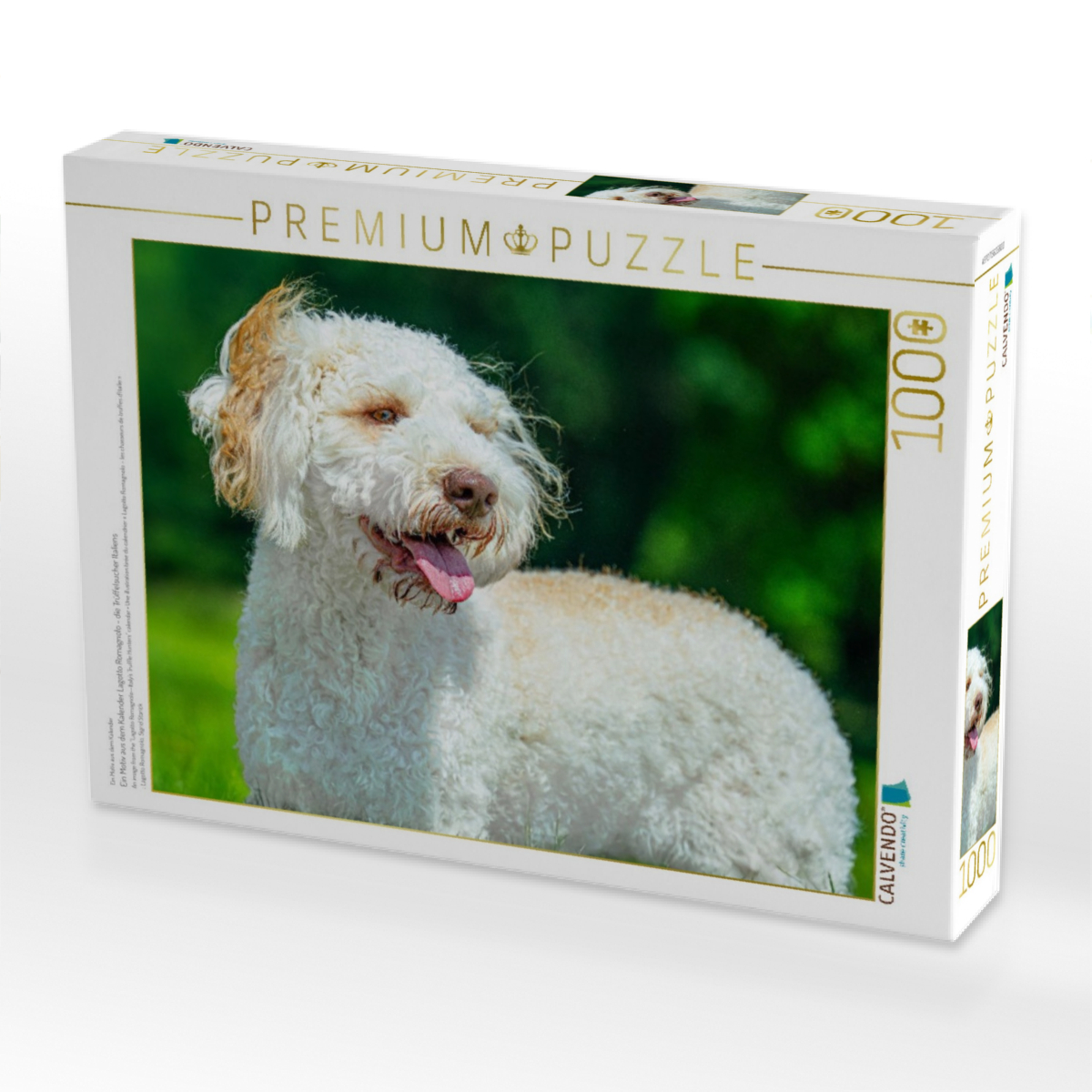Ein Motiv aus dem Kalender Lagotto Romagnolo - die Trüffelsucher Italiens