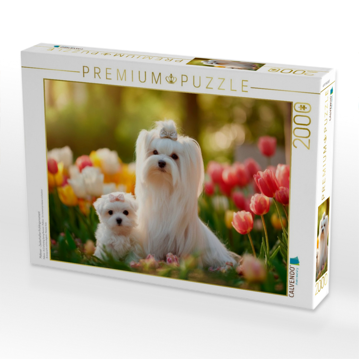 Malteser - Zauberhafter Frühlingsmoment
