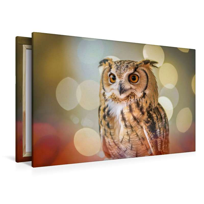Ein Motiv aus dem Kalender Besondere Vogelportraits