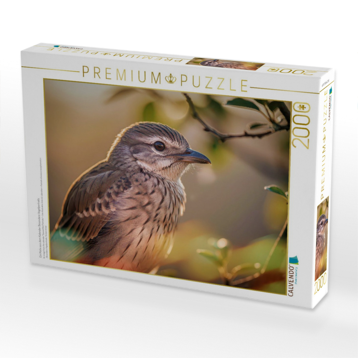 Ein Motiv aus dem Kalender Besondere Vogelportraits