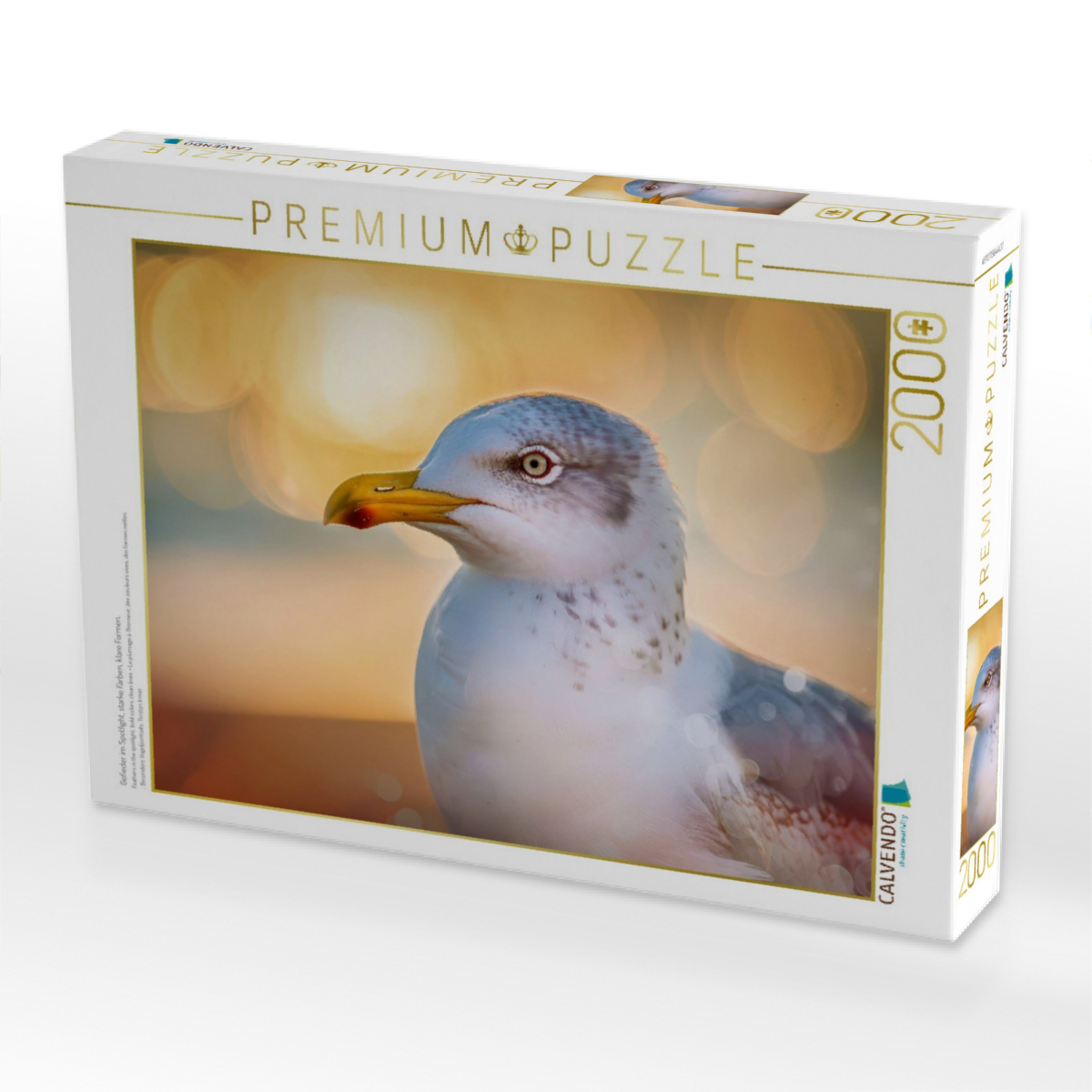 Gefieder im Spotlight, starke Farben, klare Formen.
