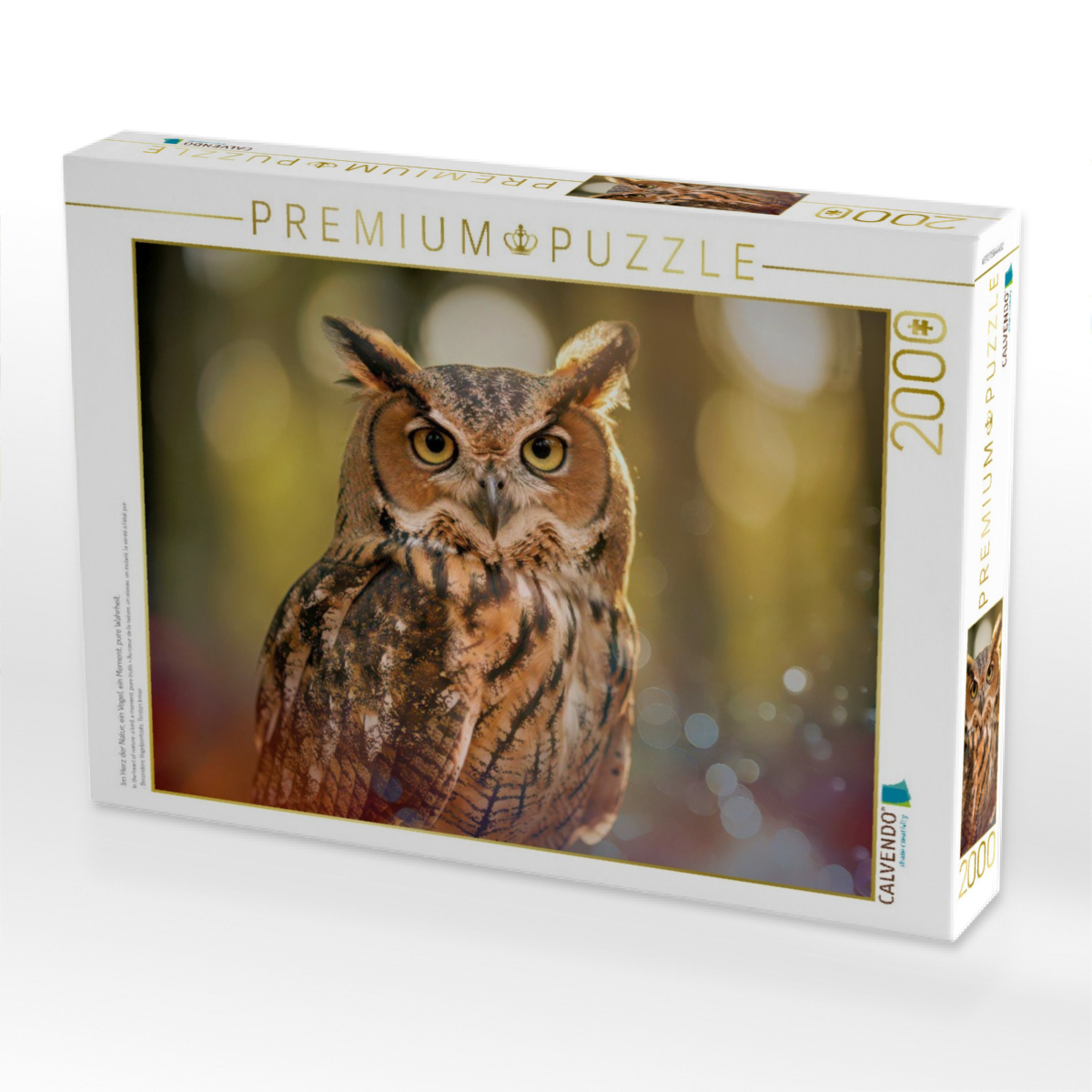 Im Herz der Natur, ein Vogel, ein Moment, pure Wahrheit.