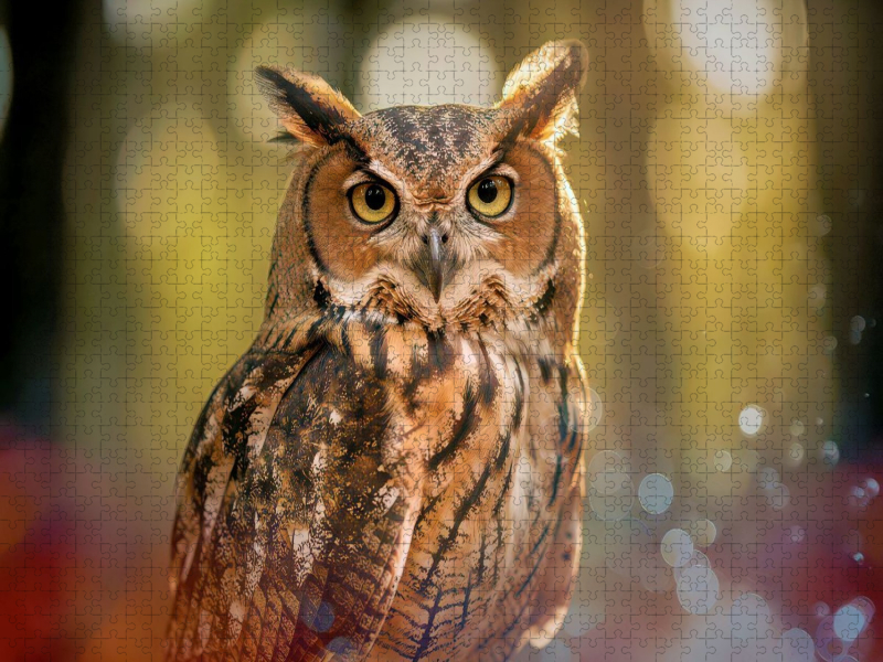 Im Herz der Natur, ein Vogel, ein Moment, pure Wahrheit.