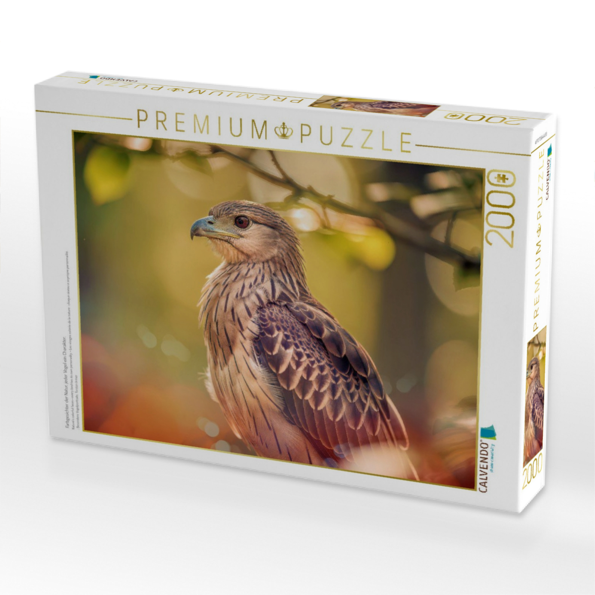 Farbgesichter der Natur, jeder Vogel ein Charakter.