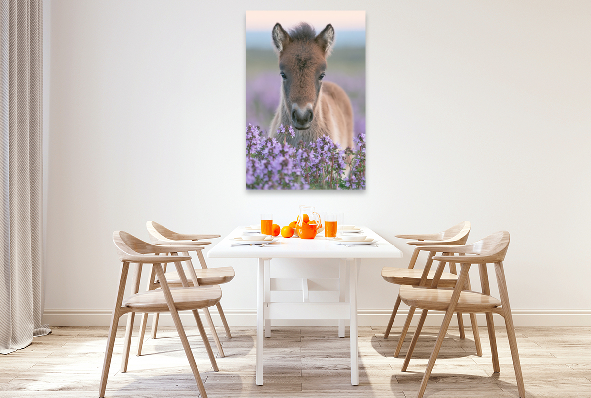 Kleine Hufe, großes Herz