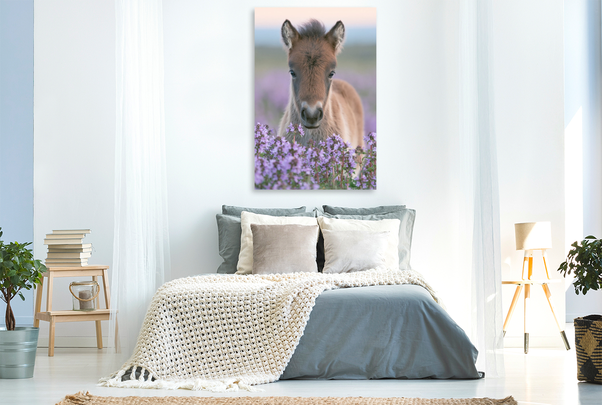 Kleine Hufe, großes Herz