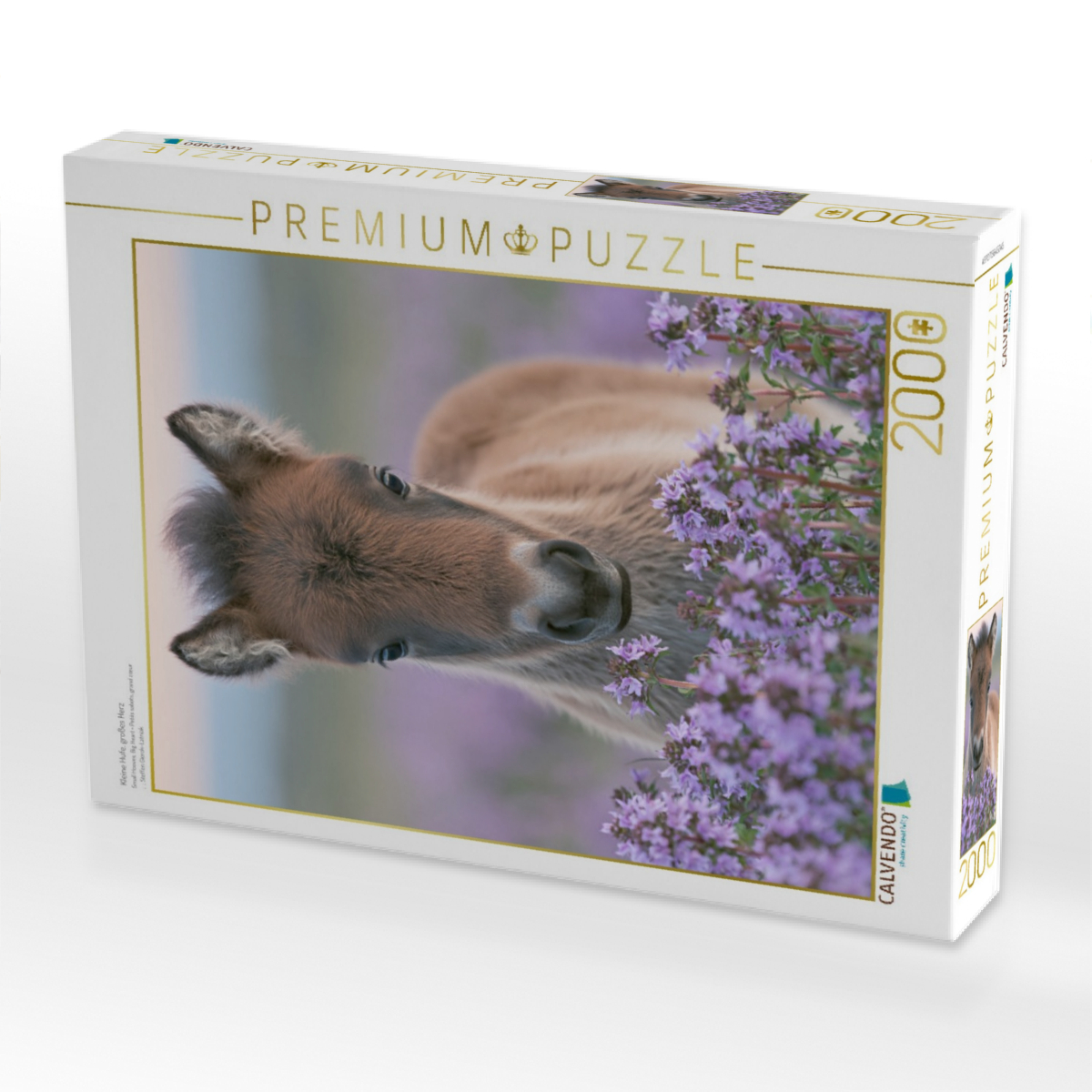 Kleine Hufe, großes Herz