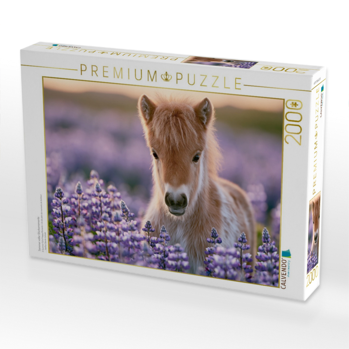 Sommer voller Glücksmomente