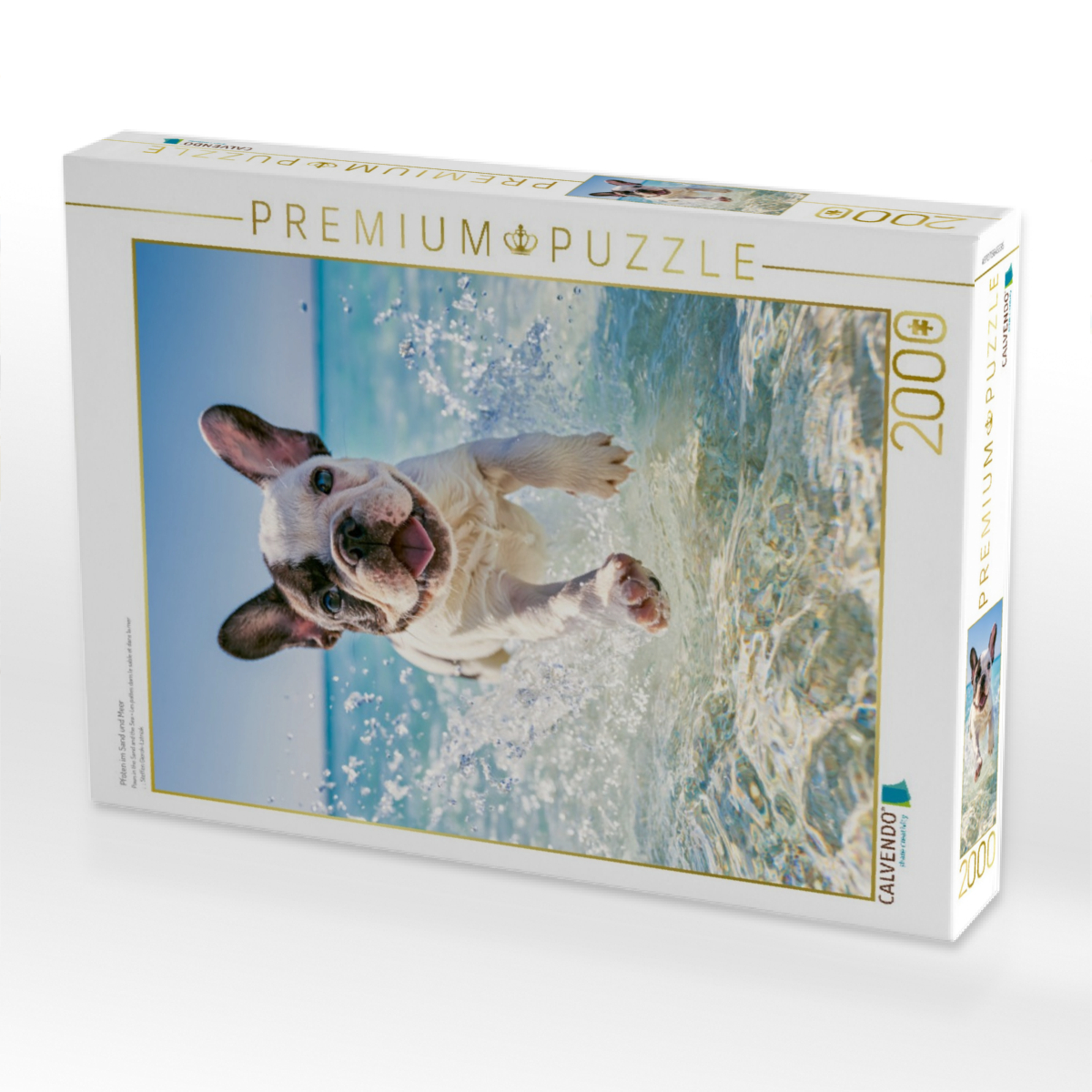 Pfoten im Sand und Meer
