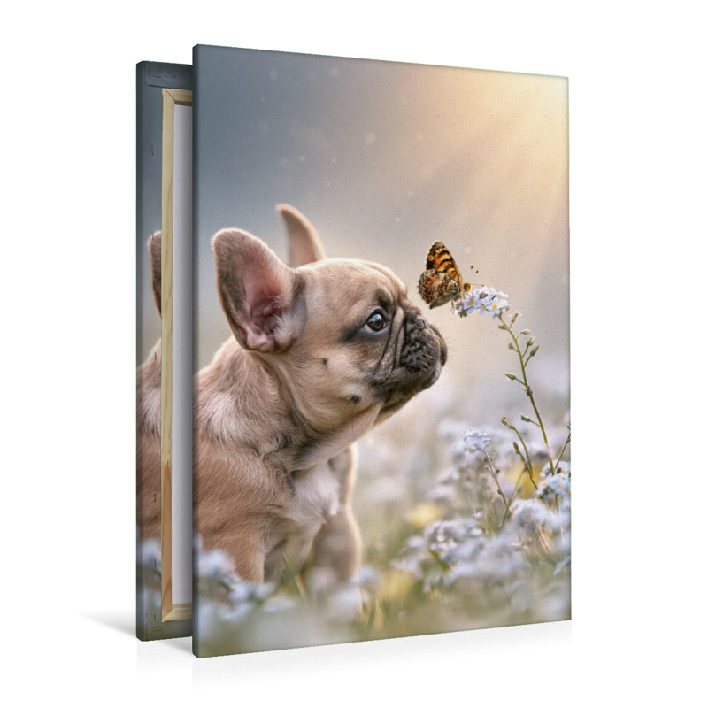 Ein Motiv aus dem Kalender Ein Herz für Buldoggen