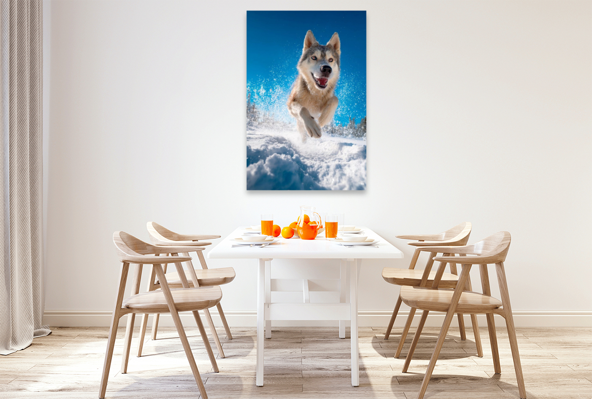 Husky - Winterspaß auf vier Pfoten