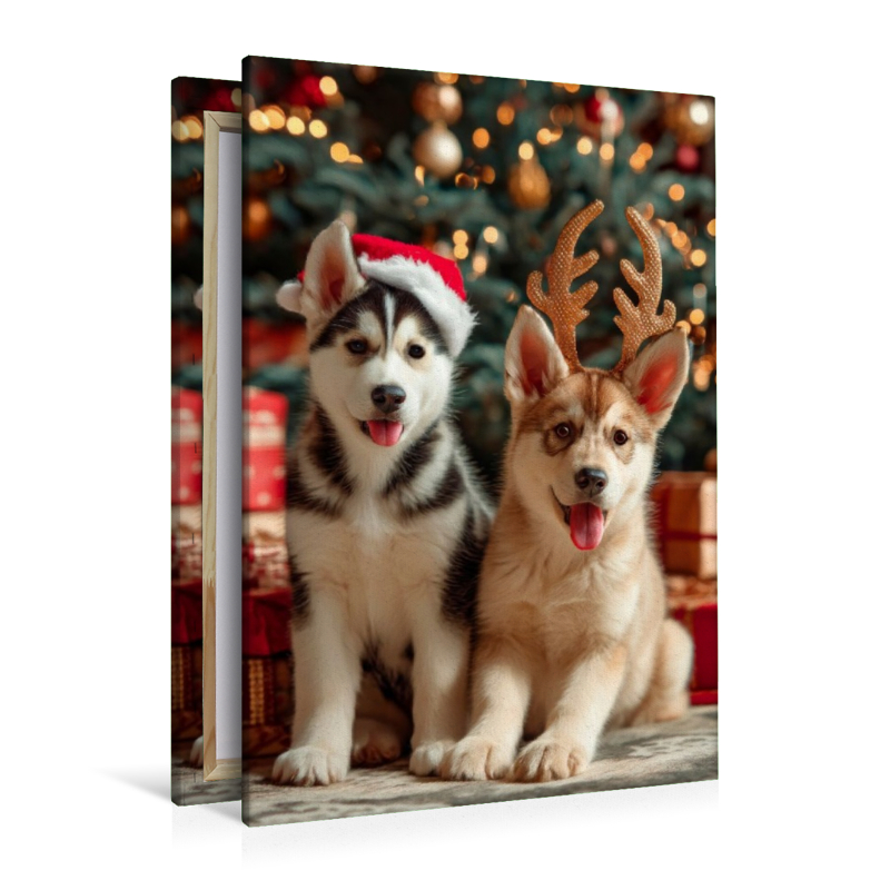Husky - Zauberhafte Weihnachtszeit