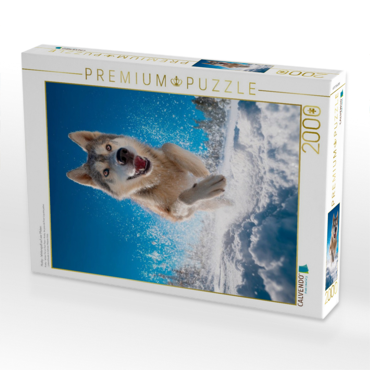 Husky - Winterspaß auf vier Pfoten