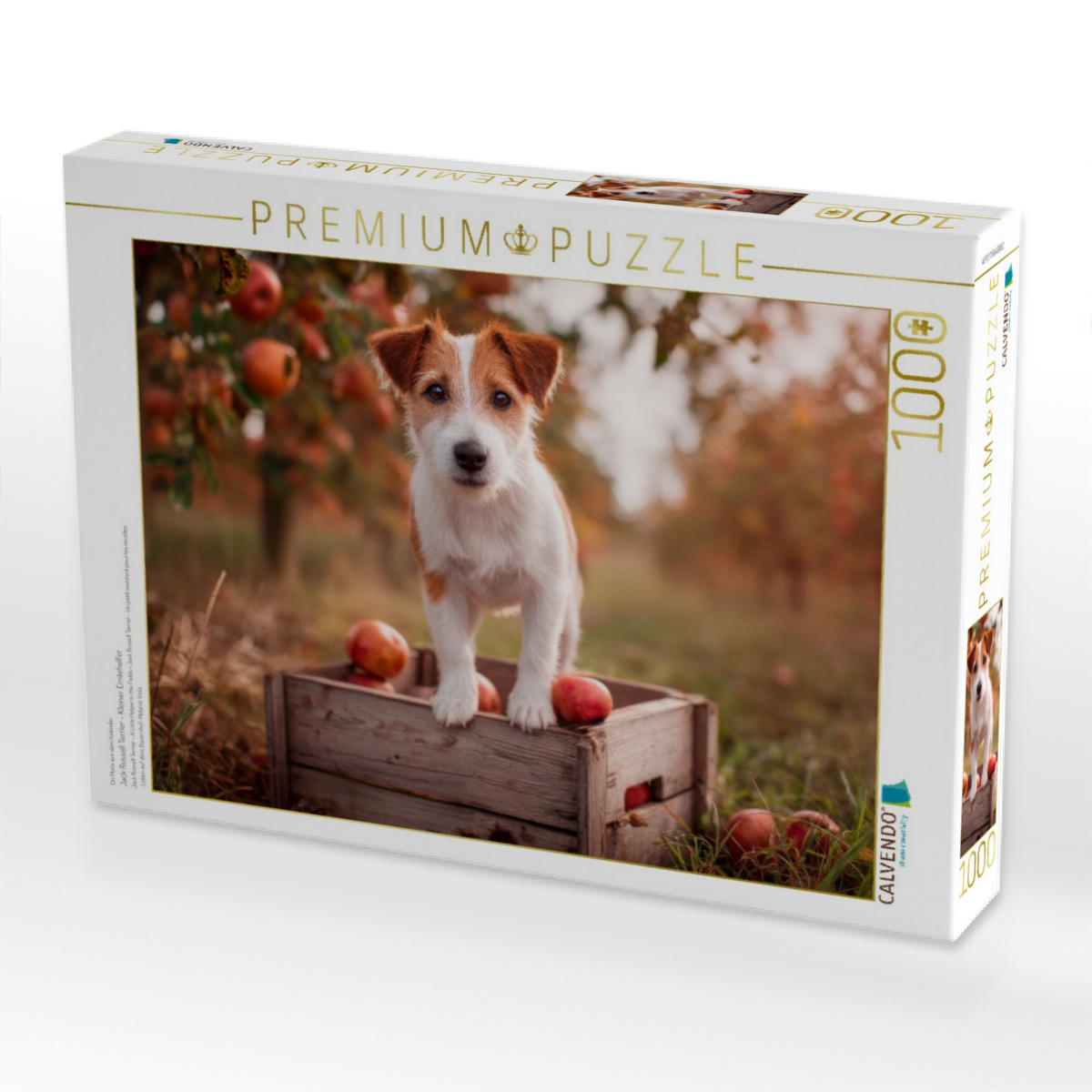 Jack Russell Terrier - Kleiner Erntehelfer