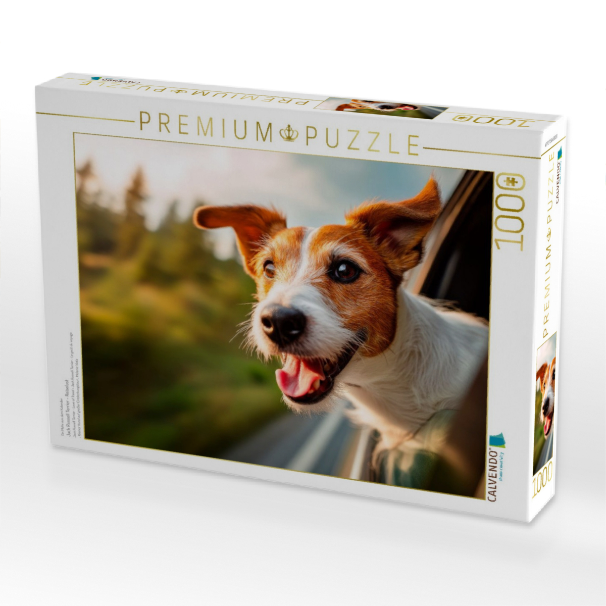 Jack Russell Terrier - Reiselust