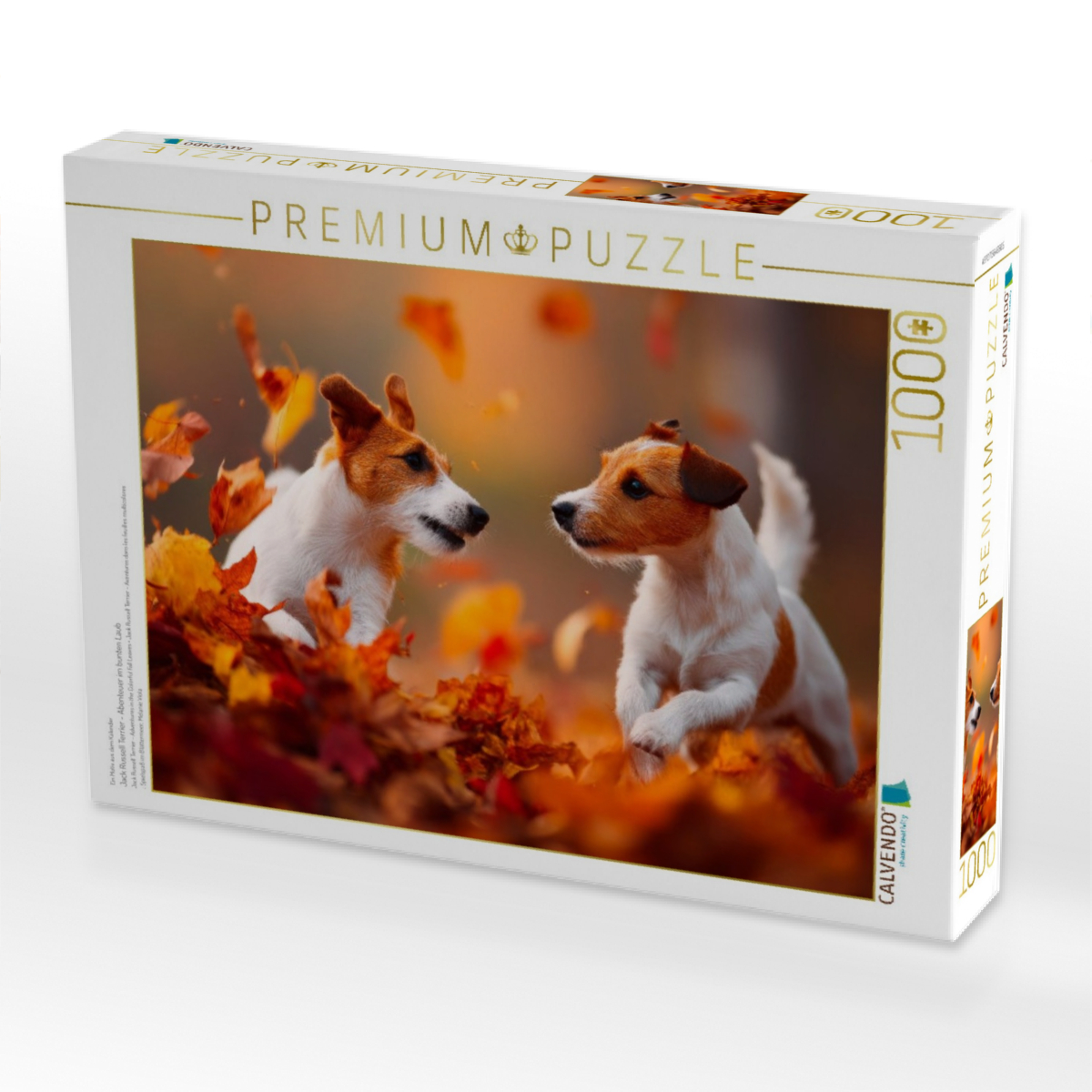 Jack Russell Terrier - Abenteuer im bunten Laub