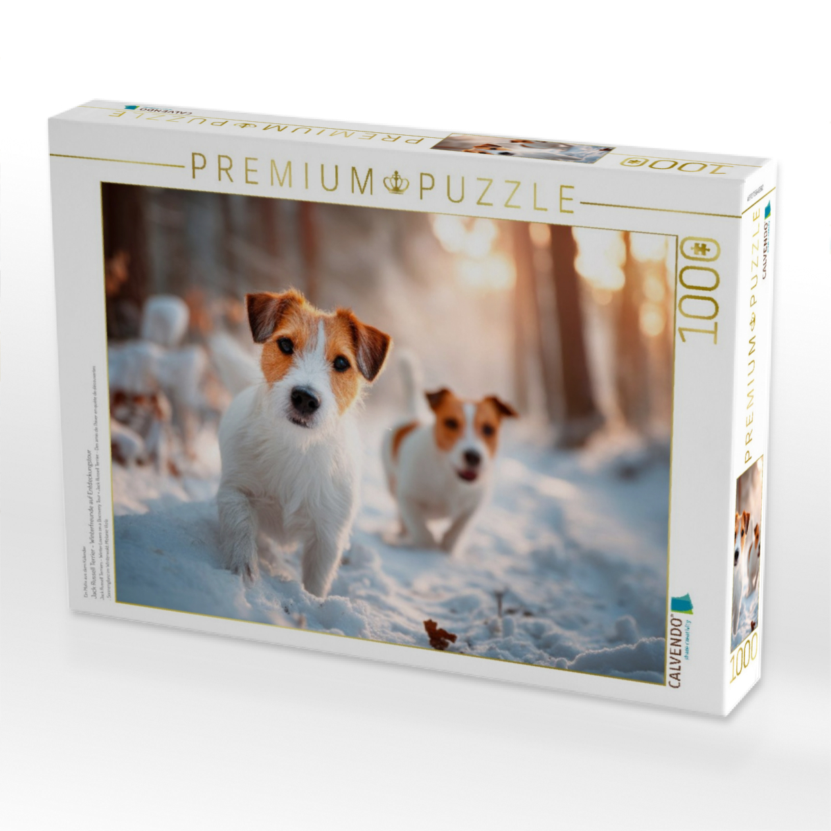 Jack Russell Terrier - Winterfreunde auf Entdeckungstour
