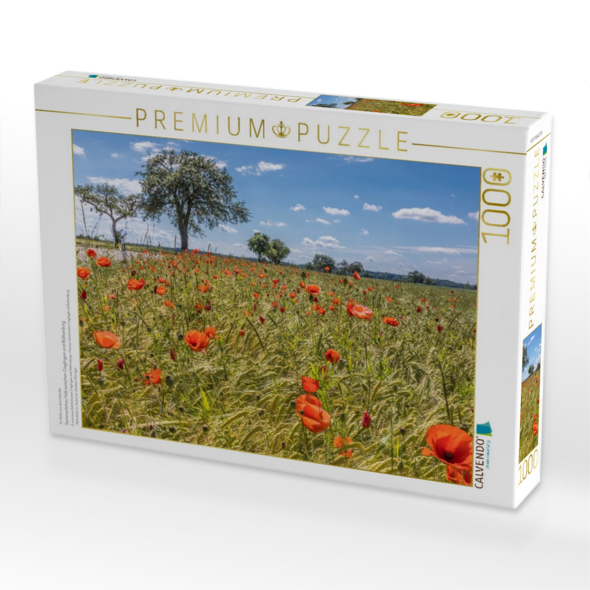 Sommerliches Feld zwischen Creglingen und Rothenburg